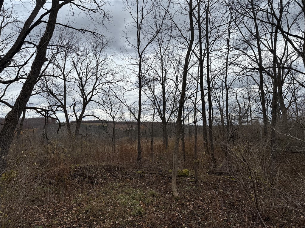 Tucker Road Ithaca, NY 14850 - Photo 24 of 35