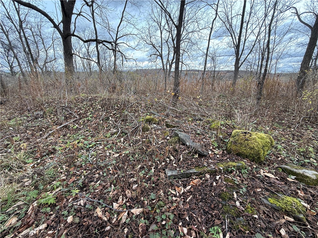 Tucker Road Ithaca, NY 14850 - Photo 25 of 35