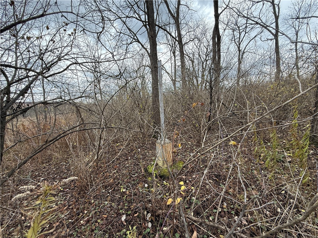 Tucker Road Ithaca, NY 14850 - Photo 28 of 35