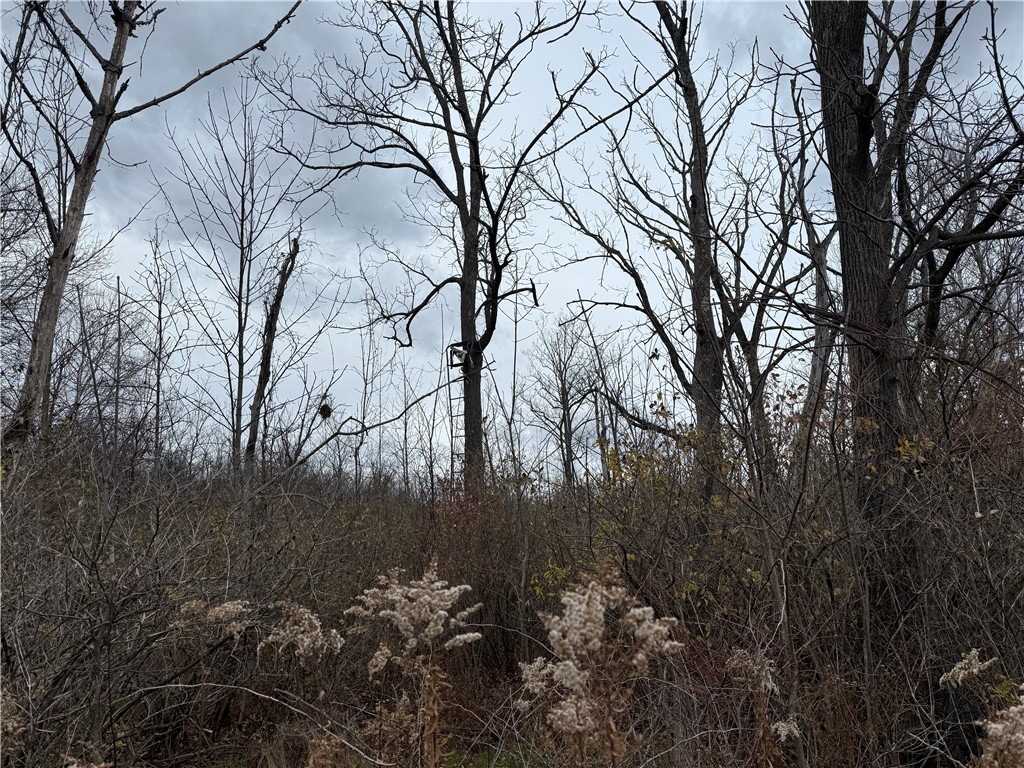 Tucker Road Ithaca, NY 14850 - Photo 30 of 35