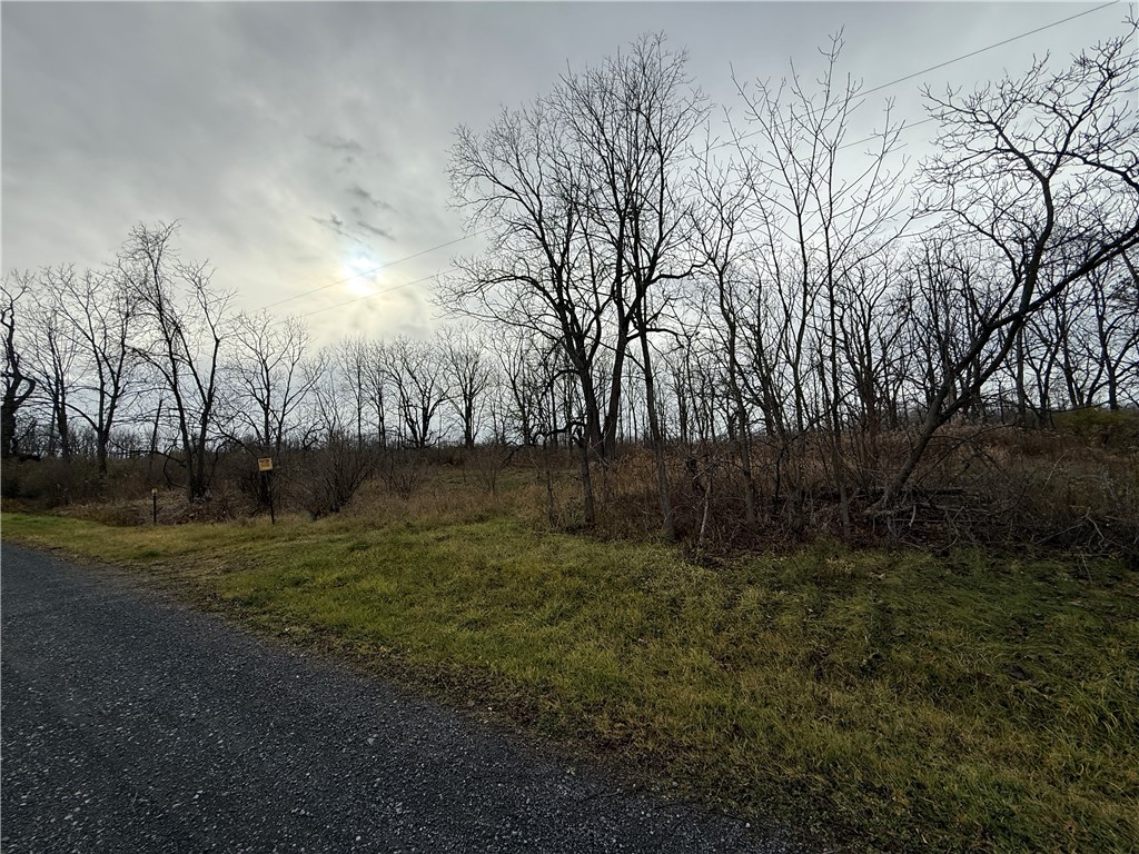 Tucker Road Ithaca, NY 14850 - Photo 3 of 35