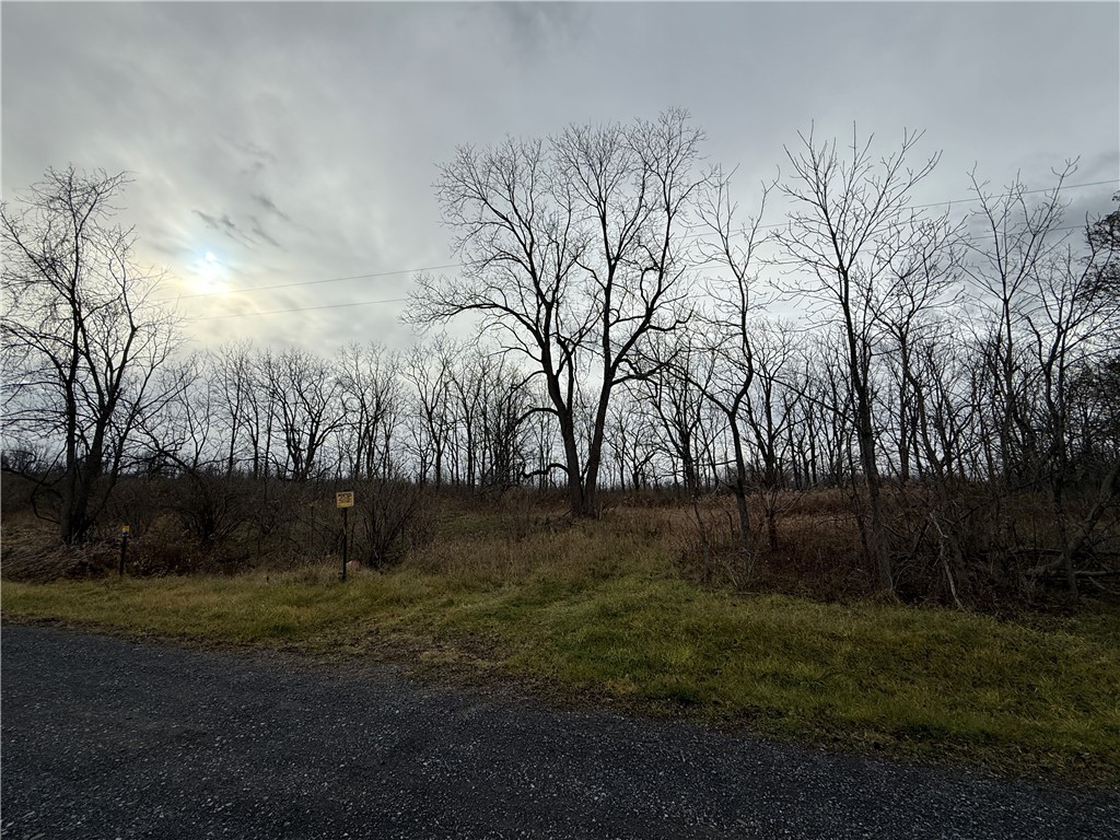 Tucker Road Ithaca, NY 14850 - Photo 4 of 35