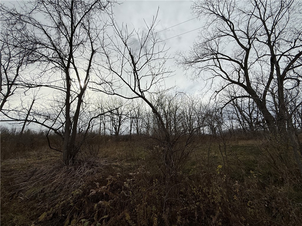 Tucker Road Ithaca, NY 14850 - Photo 5 of 35