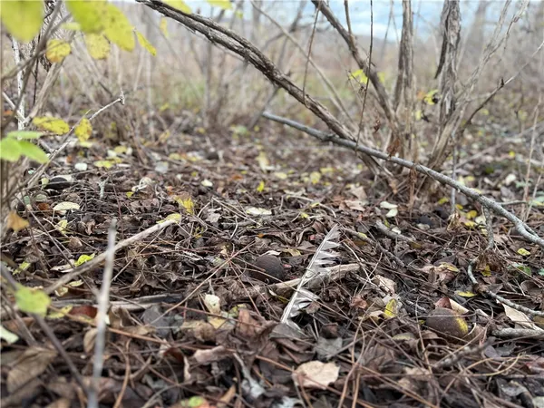 $129,900 | Tucker Road, Ithaca, NY 14850