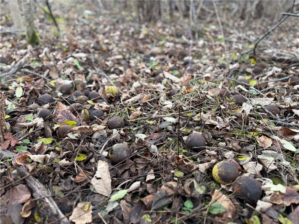 Tucker Road Ithaca, NY 14850 - Photo 9 of 35