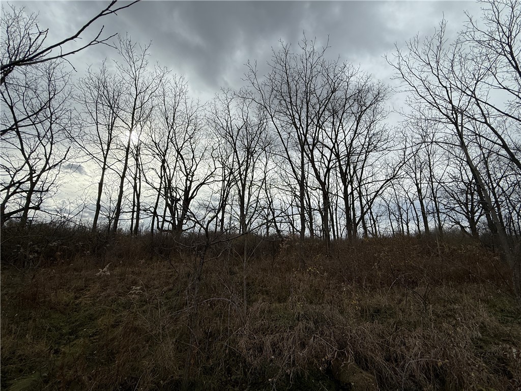 Tucker Road Ithaca, NY 14850 - Photo 10 of 35