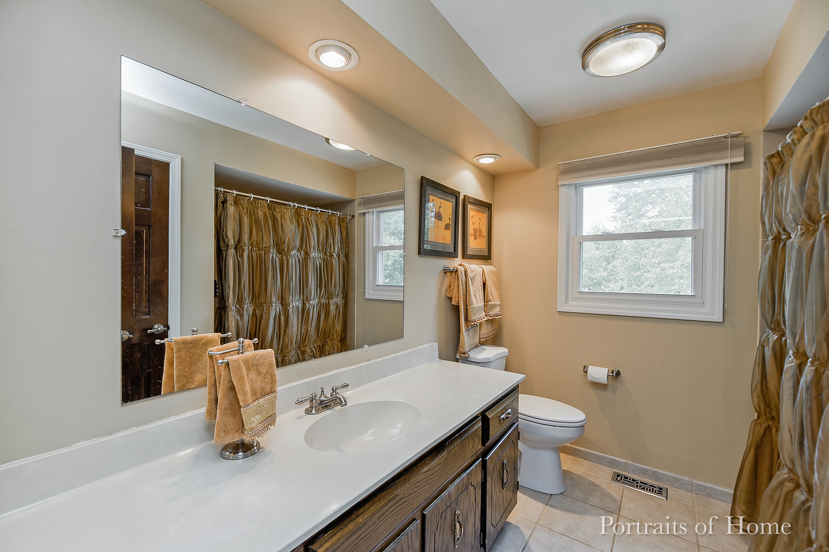1803 Denison Road Naperville, IL 60565 - Photo 14 of 24 a bathroom with 2 sink tub and a mirror