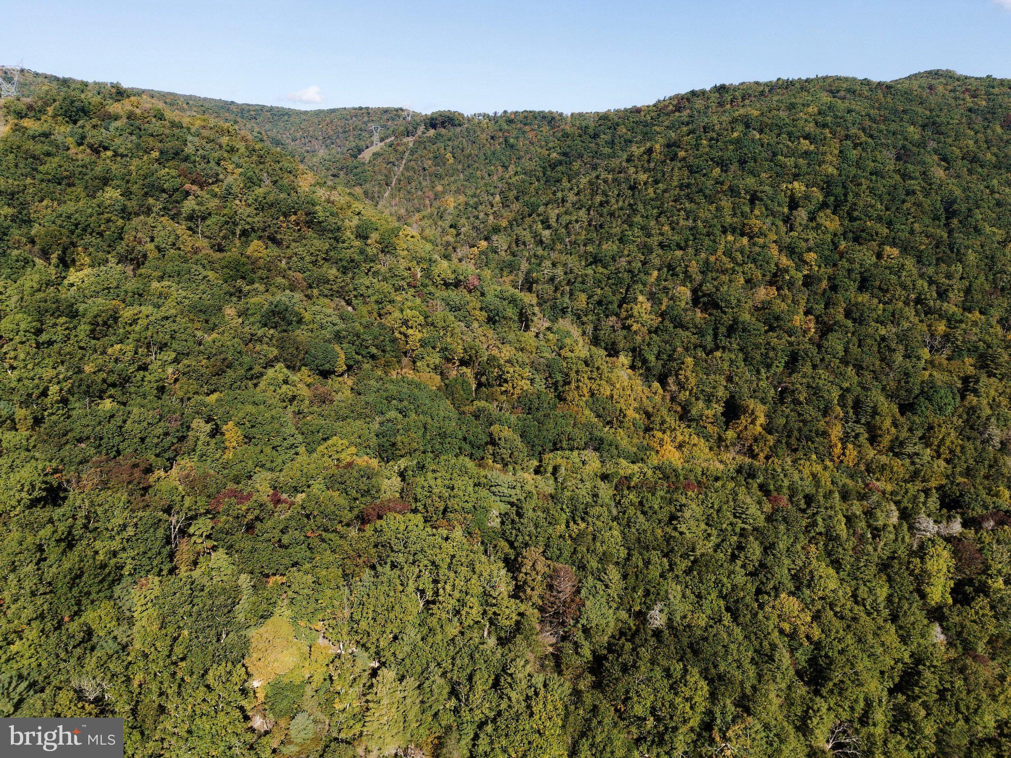 195 Hinkle Mountain Road Milam, WV 26838 - Photo 6 of 26 Gallery Image 6