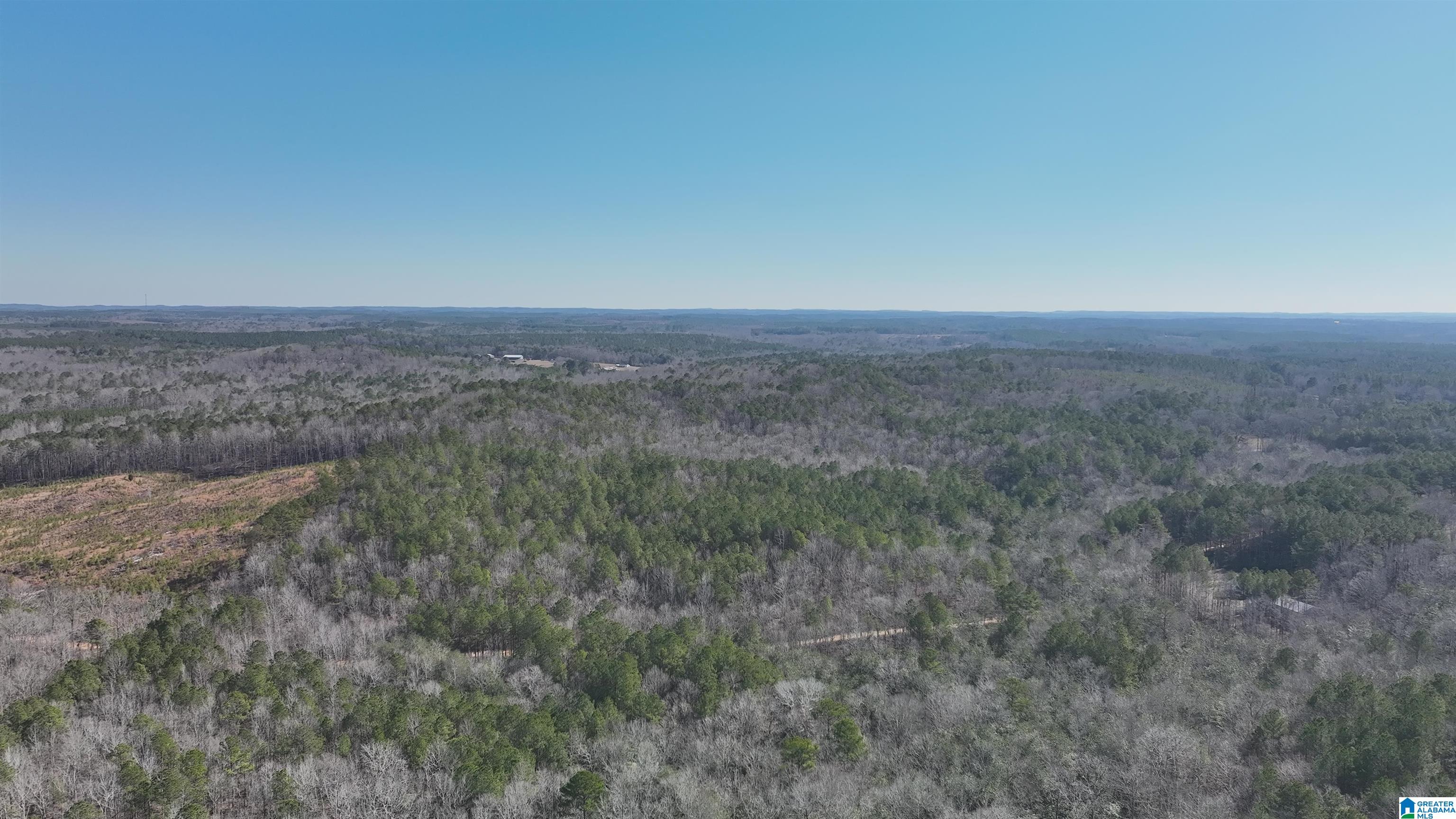 6171 Highway 102, Unit 1 Fayette, AL 35555 - Photo 41 of 68