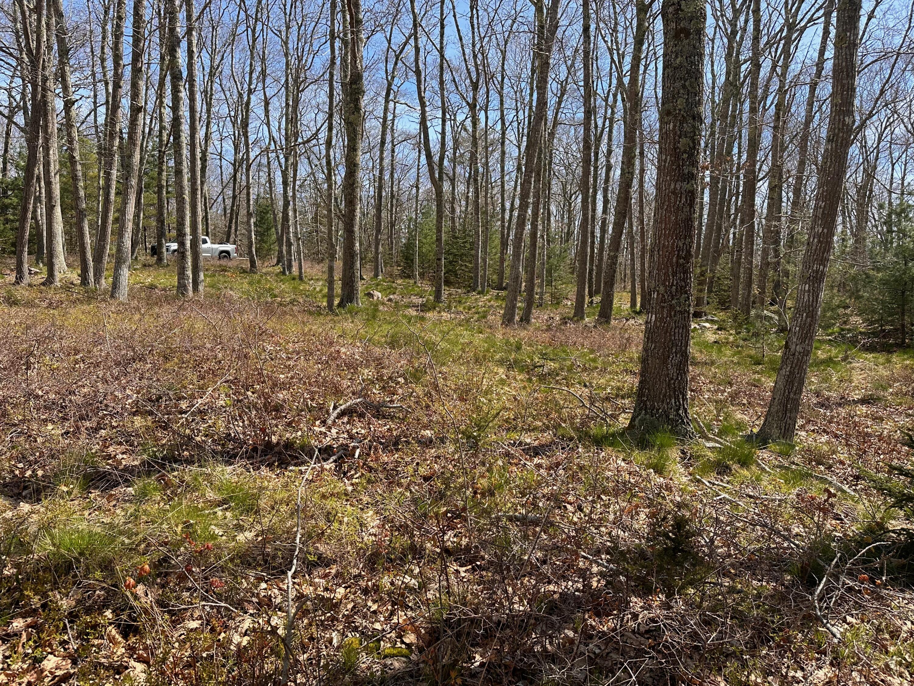 30 Gaffney Hill Road New Harbor, ME 04554 - Photo 10 of 10 IMG_6463