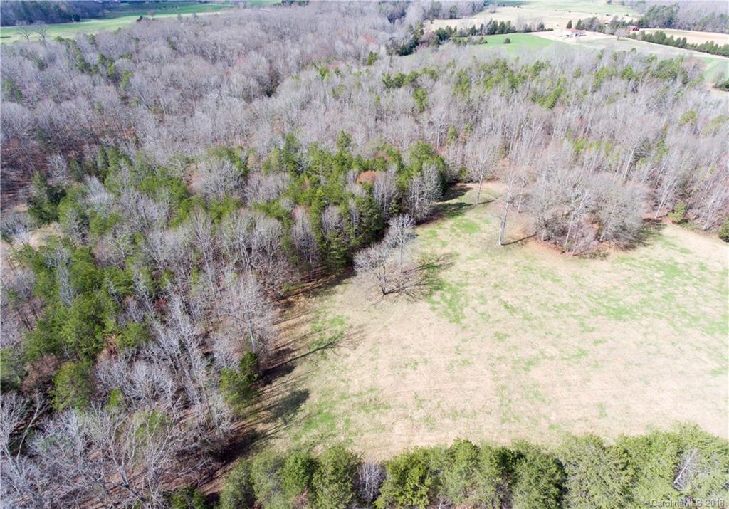 3 Lincoln Road York, SC 29745 - Photo 4 of 9 a view of a yard covered with trees