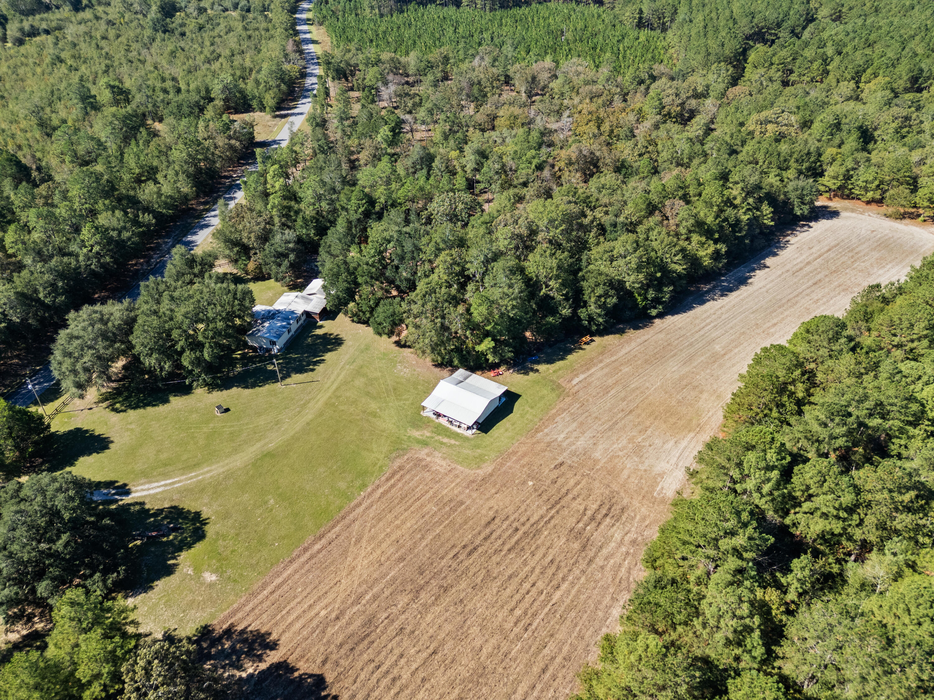 7901 State Rd S-6-169 Blackville, SC 29817 - Photo 8 of 89