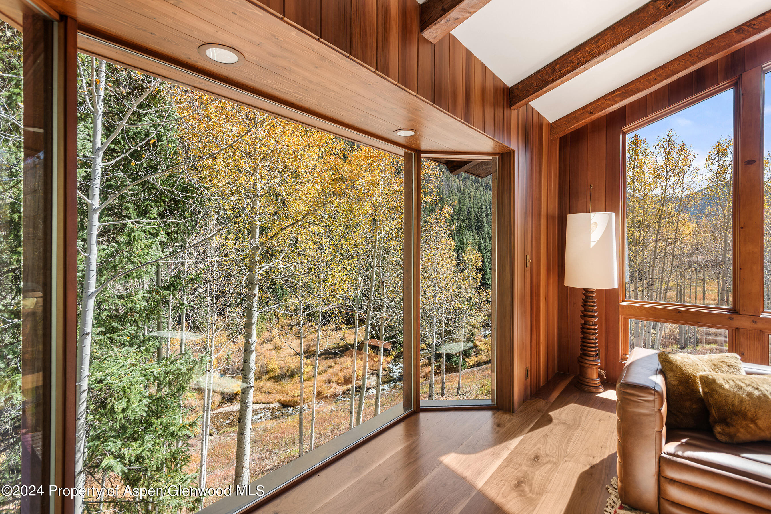 9888 Castle Creek Road Aspen, CO 81612 - Photo 12 of 51 9888CastleCreek_DASH23101038