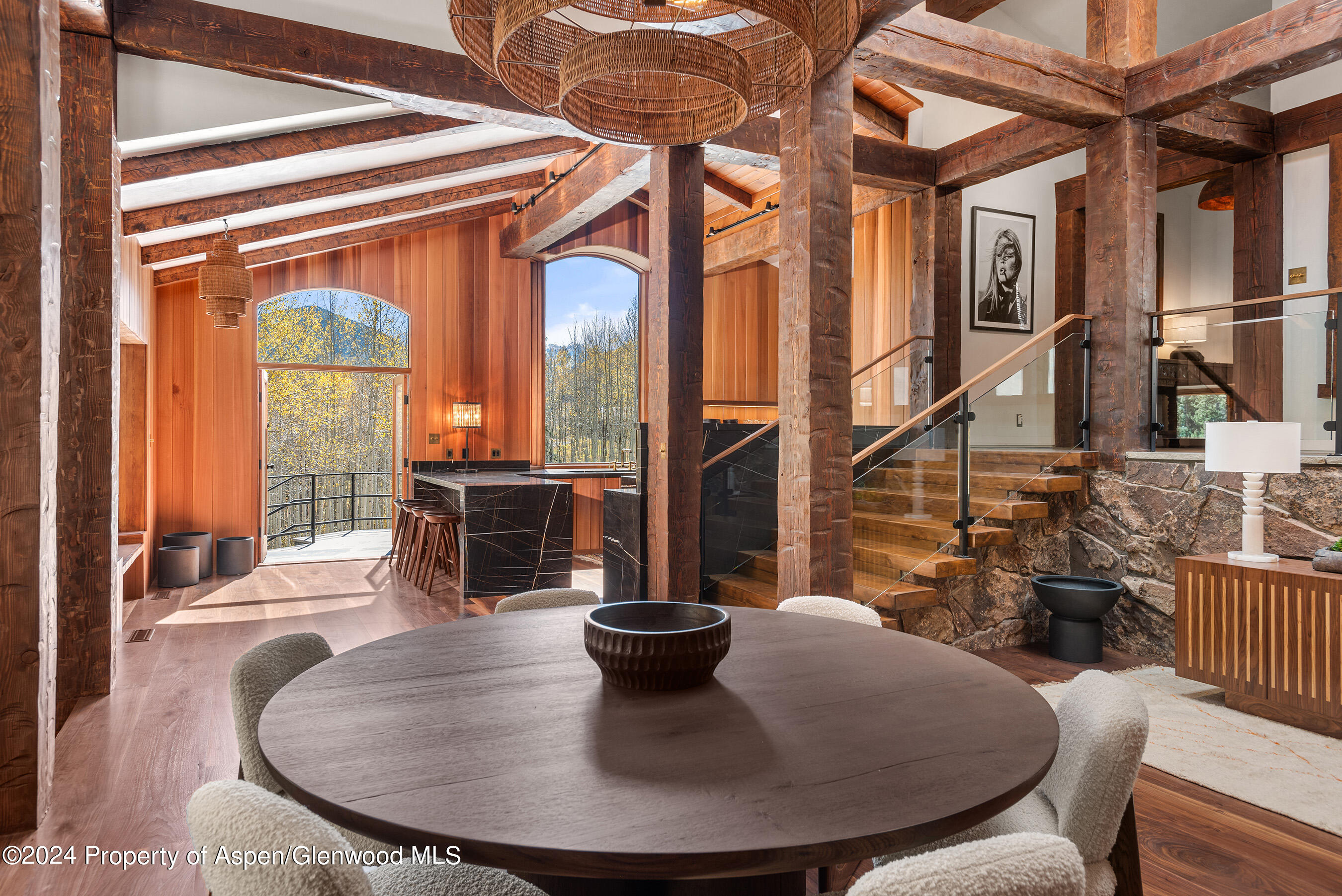 9888 Castle Creek Road Aspen, CO 81612 - Photo 18 of 51 9888CastleCreek_DASH23101044