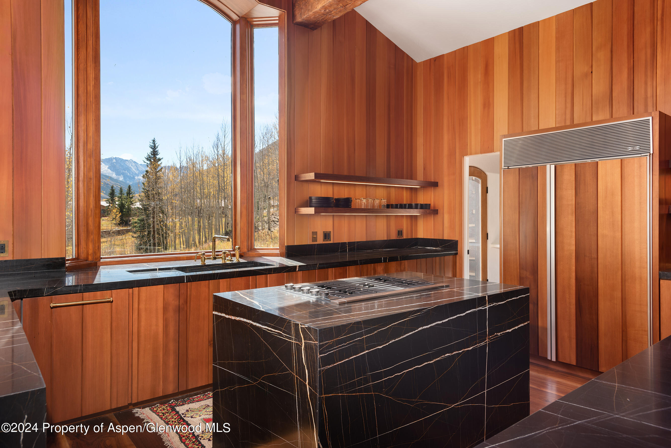 9888 Castle Creek Road Aspen, CO 81612 - Photo 20 of 51 9888CastleCreek_DASH23101047