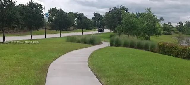 a view of a park with large trees