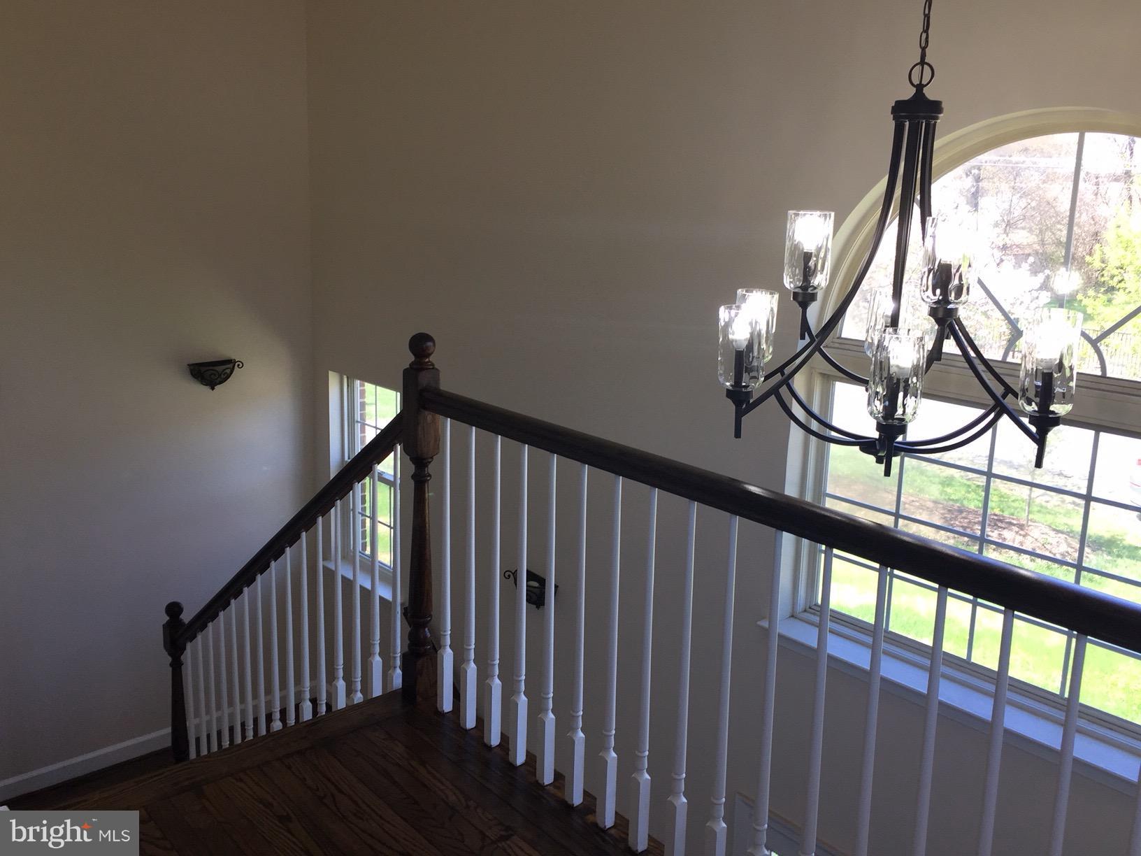 7031 Calamo Street Springfield, VA 22150 - Photo 2 of 18 Interior (General)
