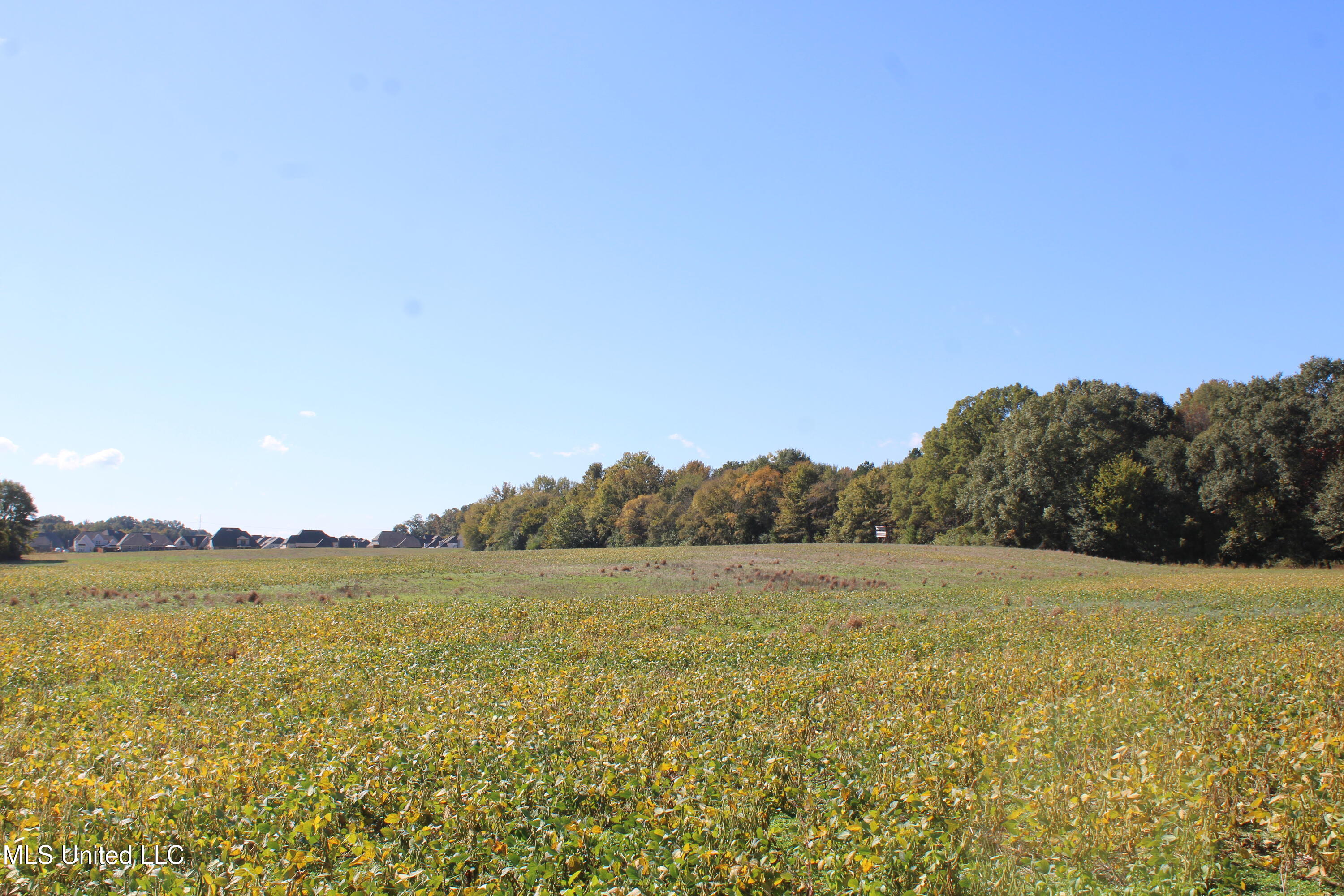 14901 Desoto Road Olive Branch, MS 38654 - Photo 12 of 27 IMG_6885