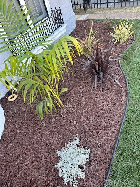 1025 Locust Avenue Long Beach, CA 90813 - Photo 7 of 64 a view of a swimming pool with a garden