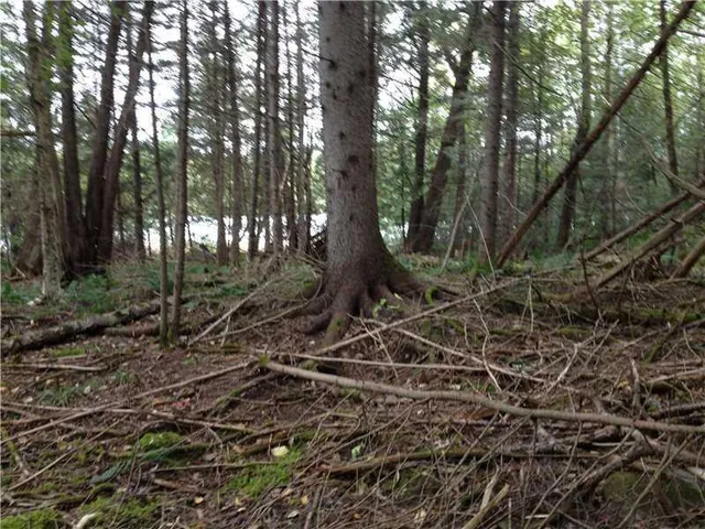 $84,900 | 3 Kolm Lane, Garland, ME 04939