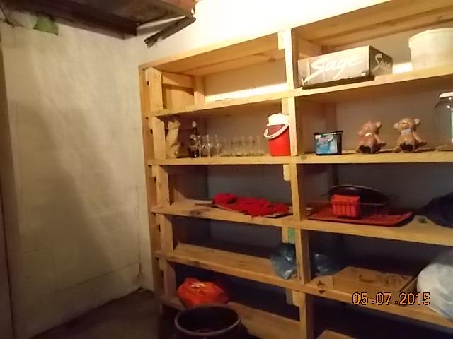 280 Blooming Grove Road Pulaski, TN 38478 - Photo 17 of 20 STORAGE/SHELTOE IN BASEMENT