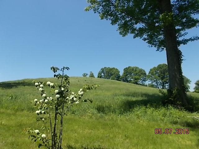 280 Blooming Grove Road Pulaski, TN 38478 - Photo 19 of 20 PASTURE BESIDE HOUSE