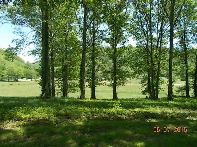 280 Blooming Grove Road Pulaski, TN 38478 - Photo 5 of 20 FRONT PASTURE FROM HOUSE