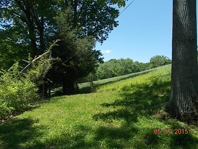 280 Blooming Grove Road Pulaski, TN 38478 - Photo 8 of 20 PASTURE TO THE BACK