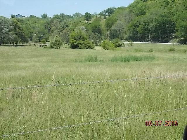 280 Blooming Grove Road Pulaski, TN 38478 - Photo 9 of 20 FROM PASTURE FROM ROAD