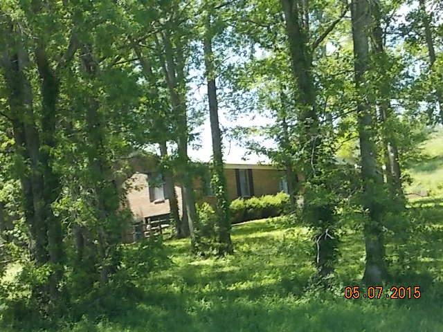 280 Blooming Grove Road Pulaski, TN 38478 - Photo 10 of 20 HOME SETTING AMOUNG TREES