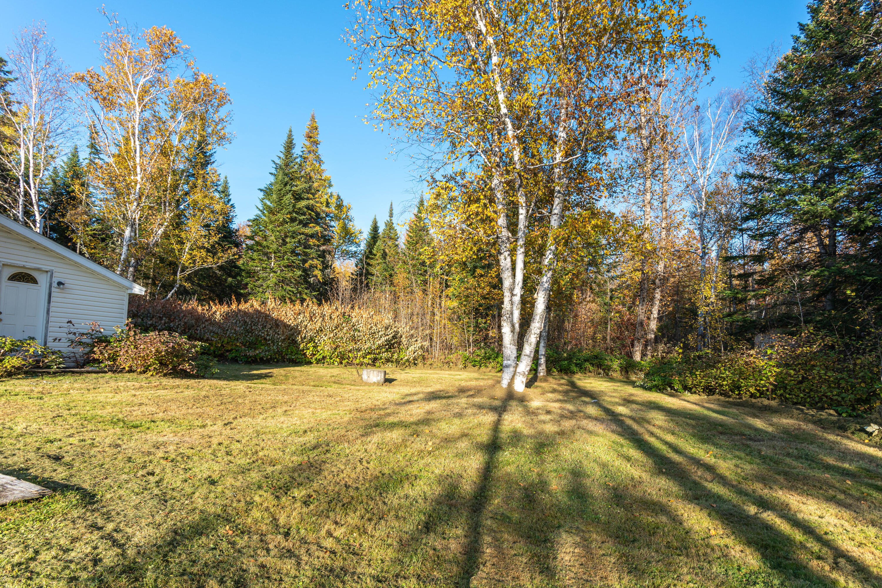 836 Lake Shore Road St. David, ME 04773 - Photo 16 of 51 DSC_0532
