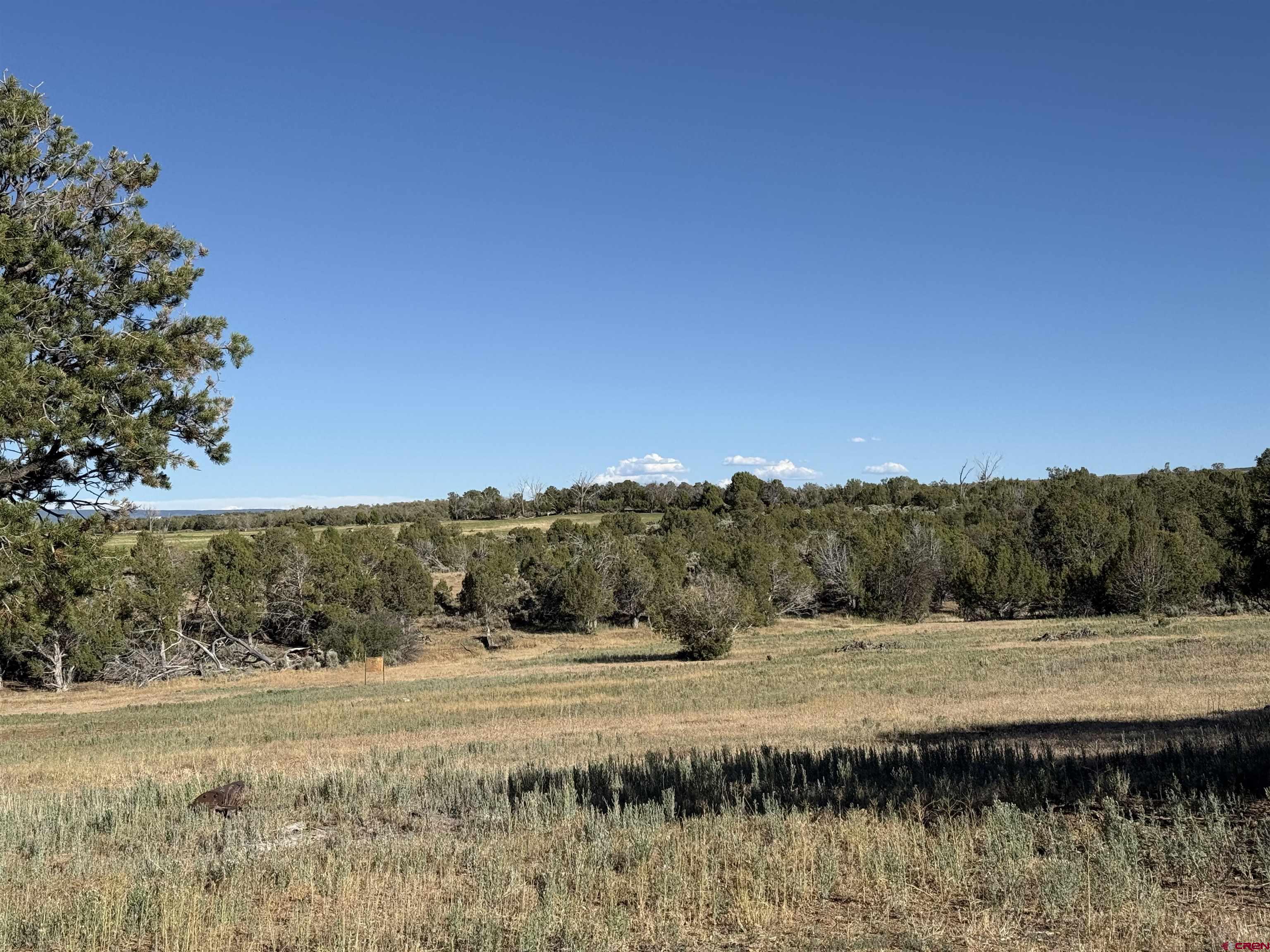 32310 B50 Road Crawford, CO 81415 - Photo 44 of 45