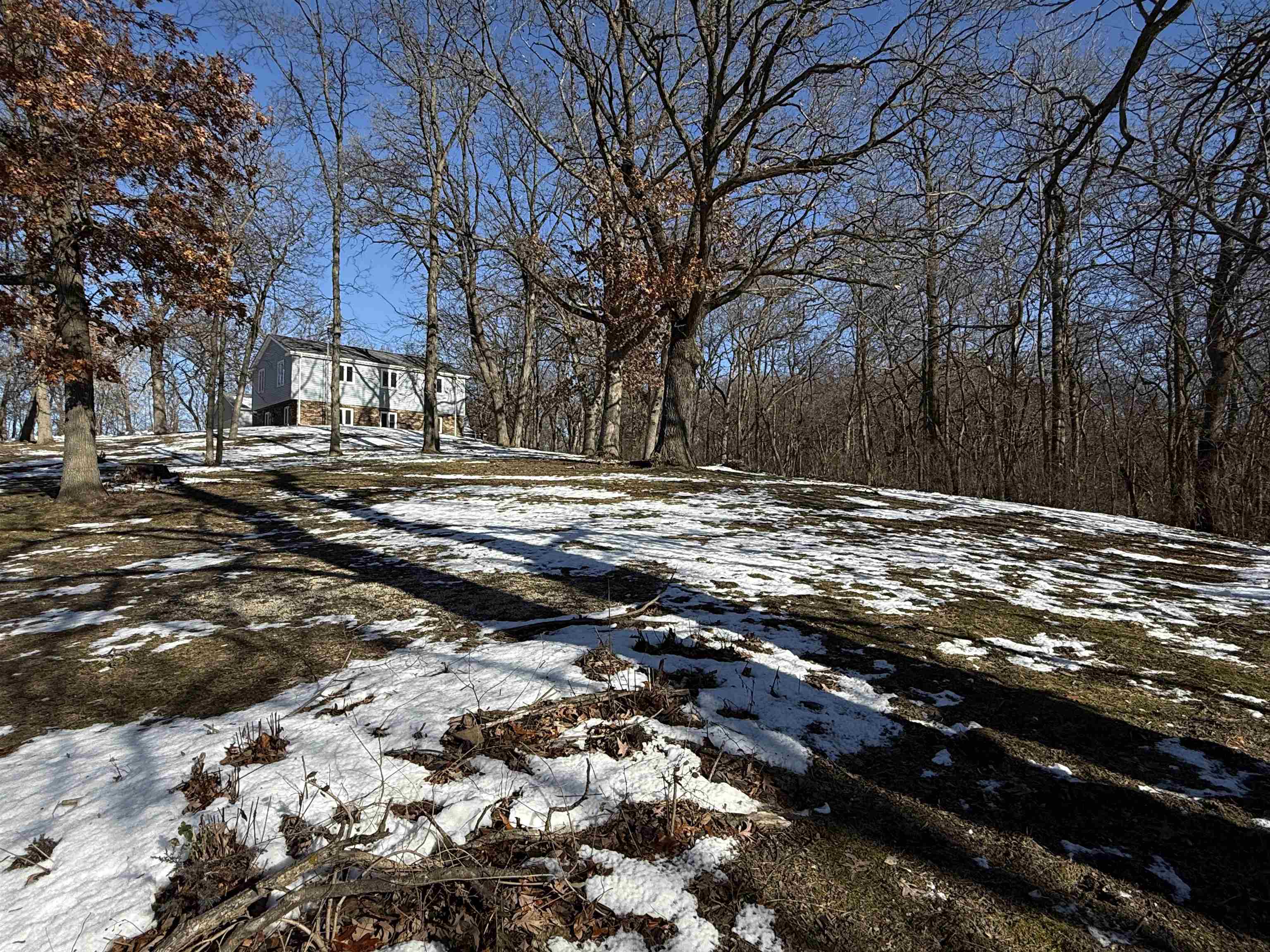 45 South Blackhawk Road Oregon, IL 61061 - Photo 39 of 42 a view of a yard with snow on the road
