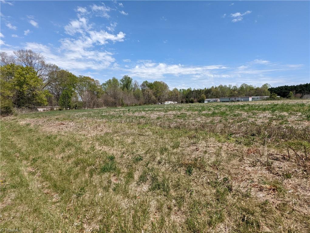 267 Chaffin Road Woodleaf, NC 27054 - Photo 5 of 6