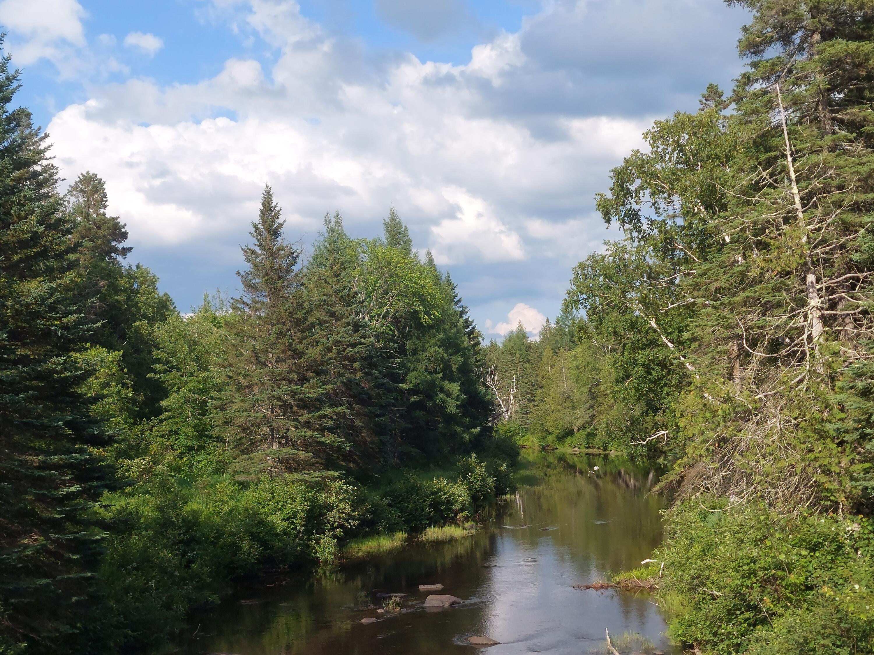731 Kennebago Road Rangeley, ME 04970 - Photo 29 of 30 Dead River, nearby