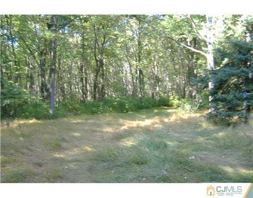 379 Pleasant Valley Road Old Bridge, NJ 08857 - Photo 10 of 11 Gallery Image 10