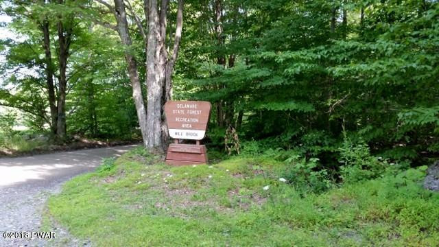 Lot 303 Sawmill Road Lake Ariel, PA 18436 - Photo 7 of 8