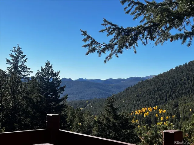 a view of a tree in a field