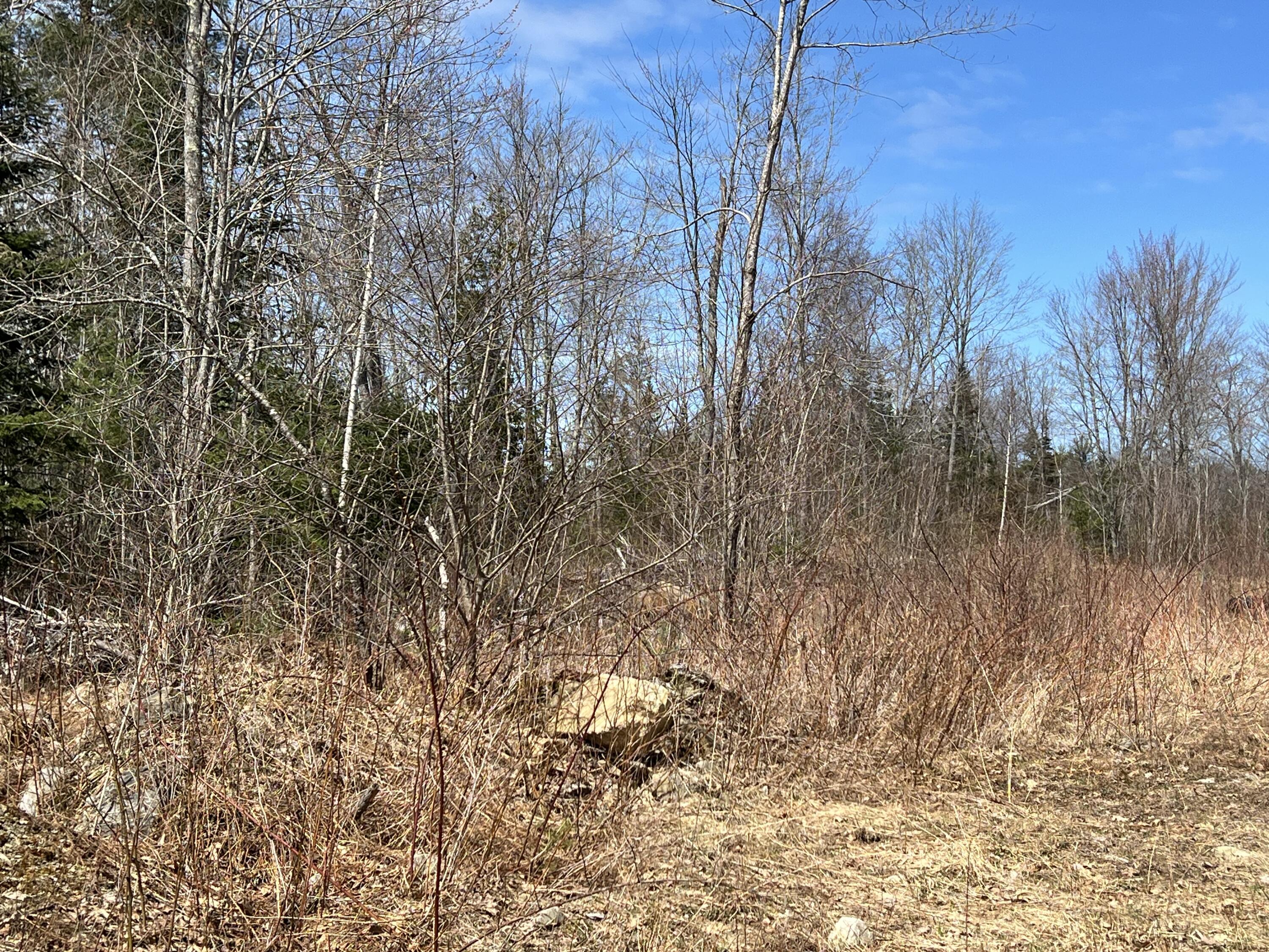 355 Turner Ridge Road Palermo, ME 04354 - Photo 4 of 4 image_50725377 (2)