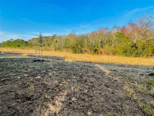 a view of a yard with a lake view
