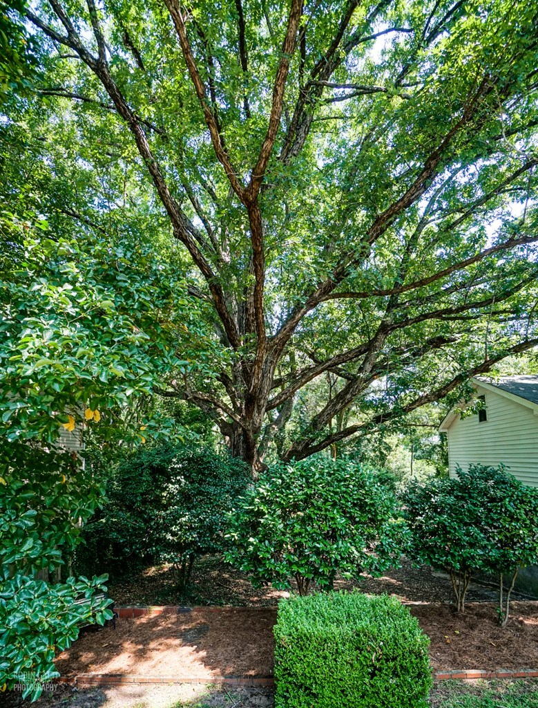 3145 Ridge Avenue Macon, GA 31204 - Photo 24 of 32 Additional Photo