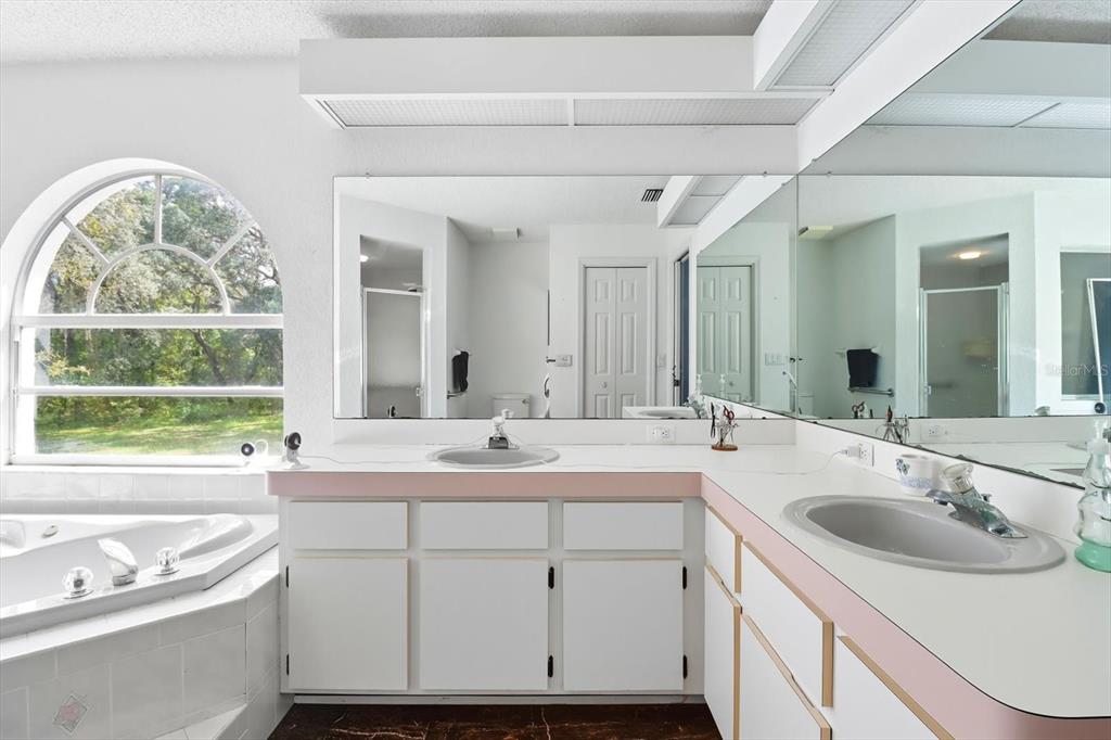 4355 West Justice Court Homosassa, FL 34446 - Photo 15 of 30 a bathroom with a double vanity sink a large mirror a bathtub and window