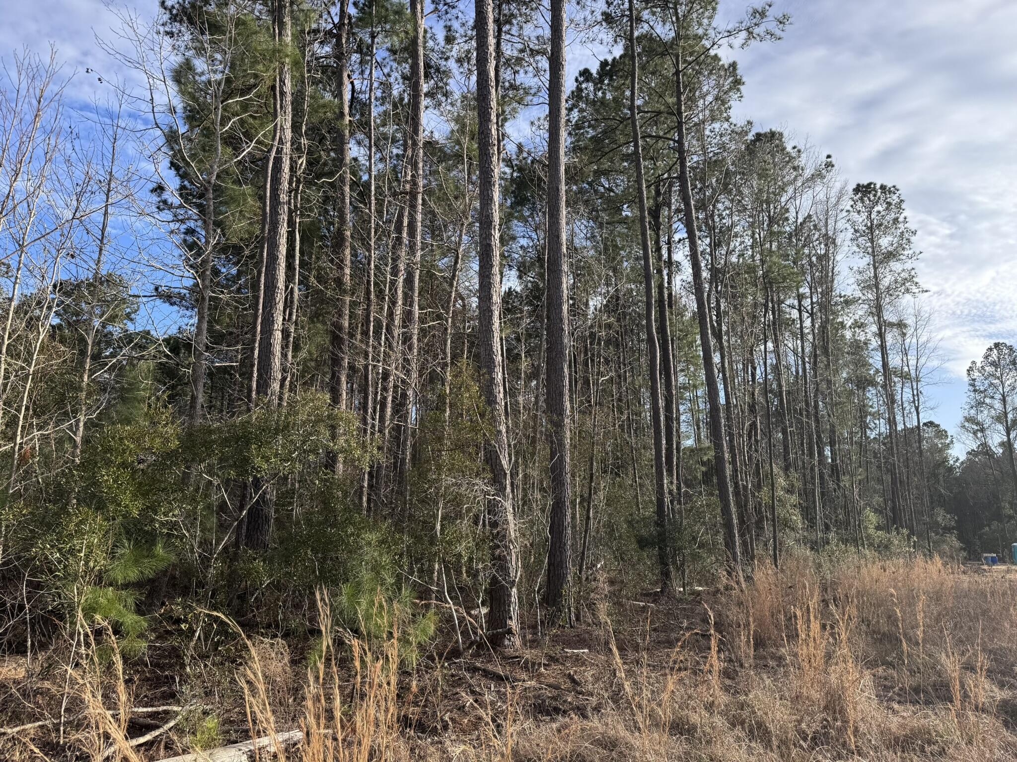 536 Bertha Lane Huger, SC 29450 - Photo 14 of 17 IMG_2421