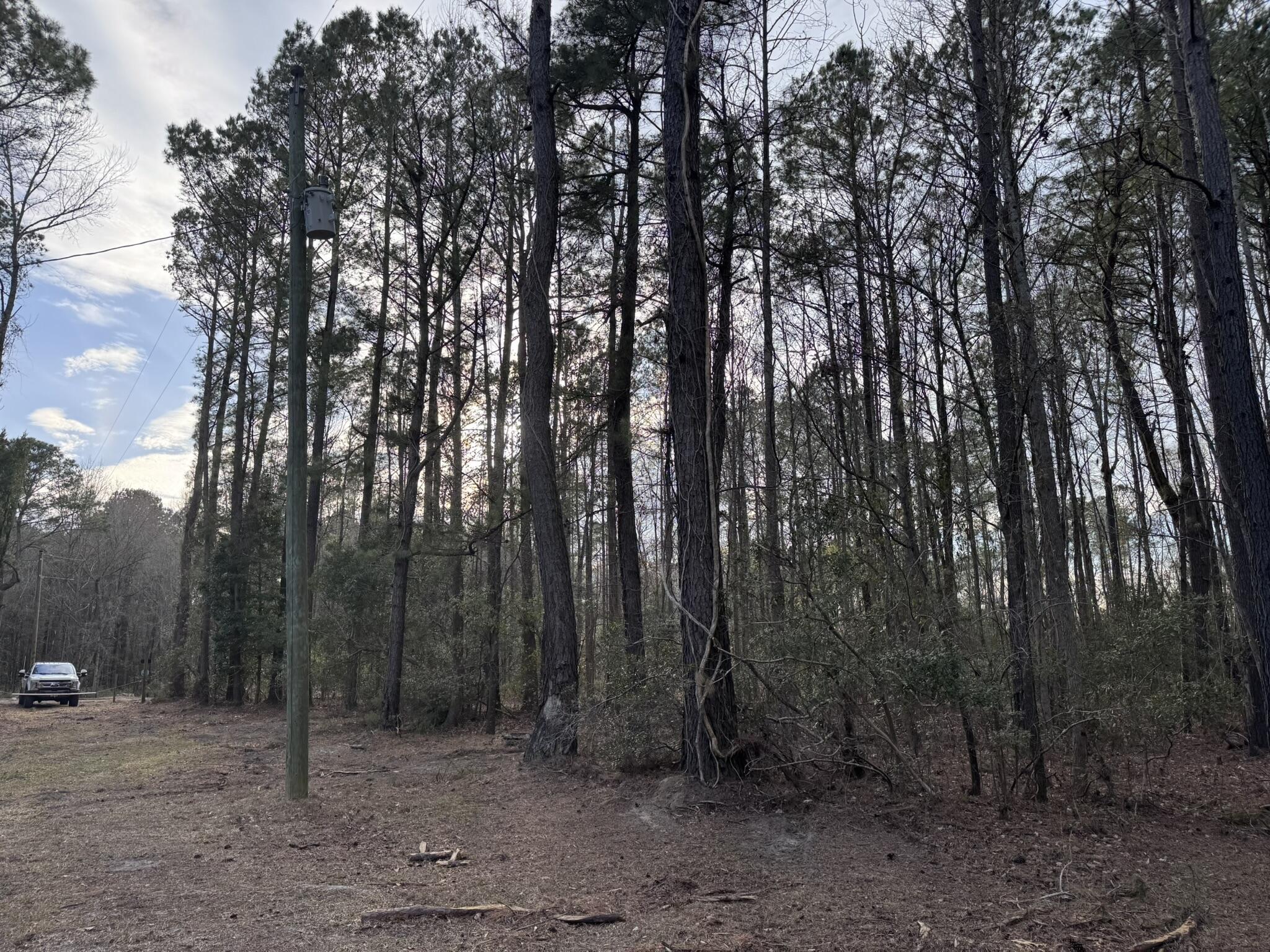 536 Bertha Lane Huger, SC 29450 - Photo 15 of 17 IMG_2427