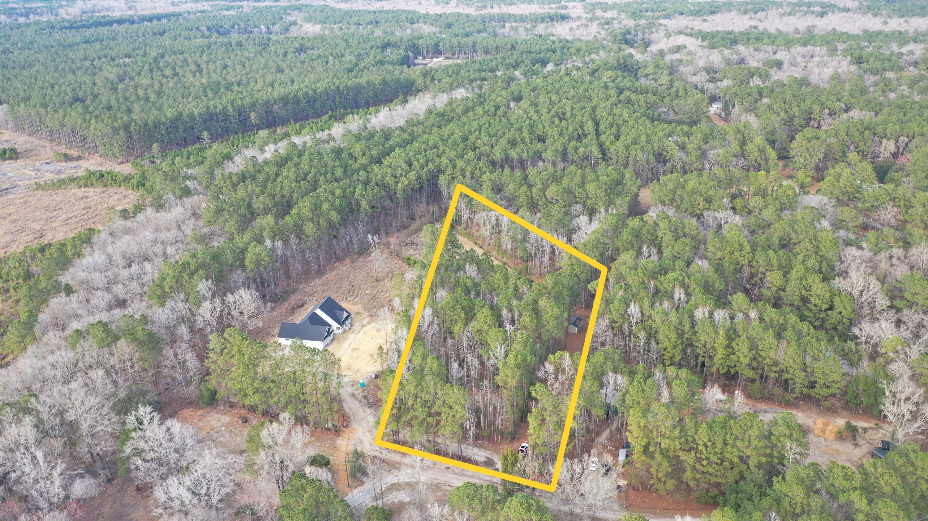 536 Bertha Lane Huger, SC 29450 - Photo 17 of 17 Aerial with boundary drawn