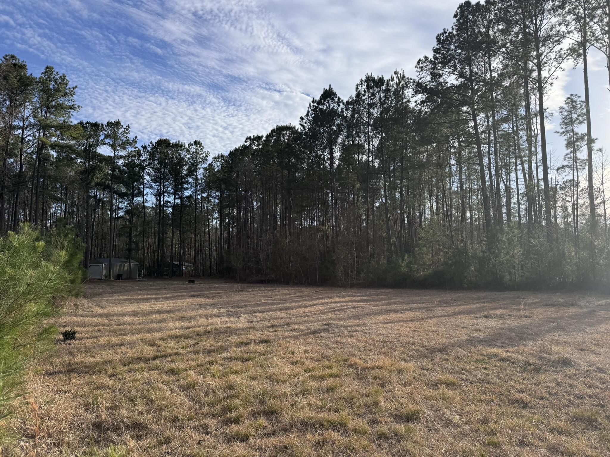 536 Bertha Lane Huger, SC 29450 - Photo 3 of 17 IMG_2420