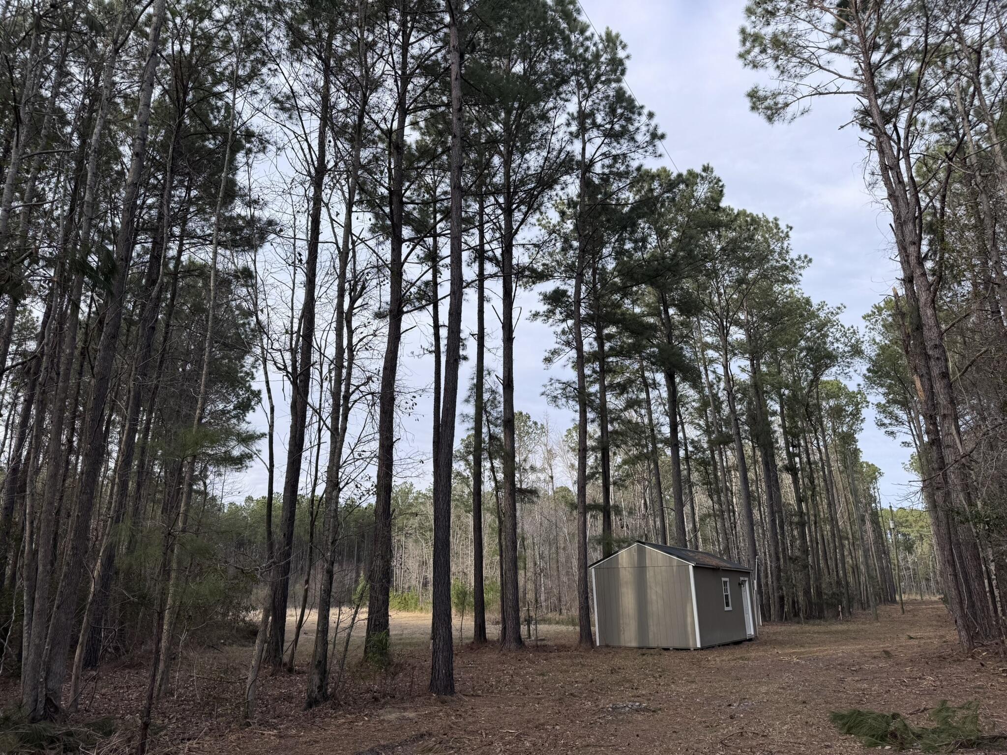 536 Bertha Lane Huger, SC 29450 - Photo 4 of 17 IMG_2426