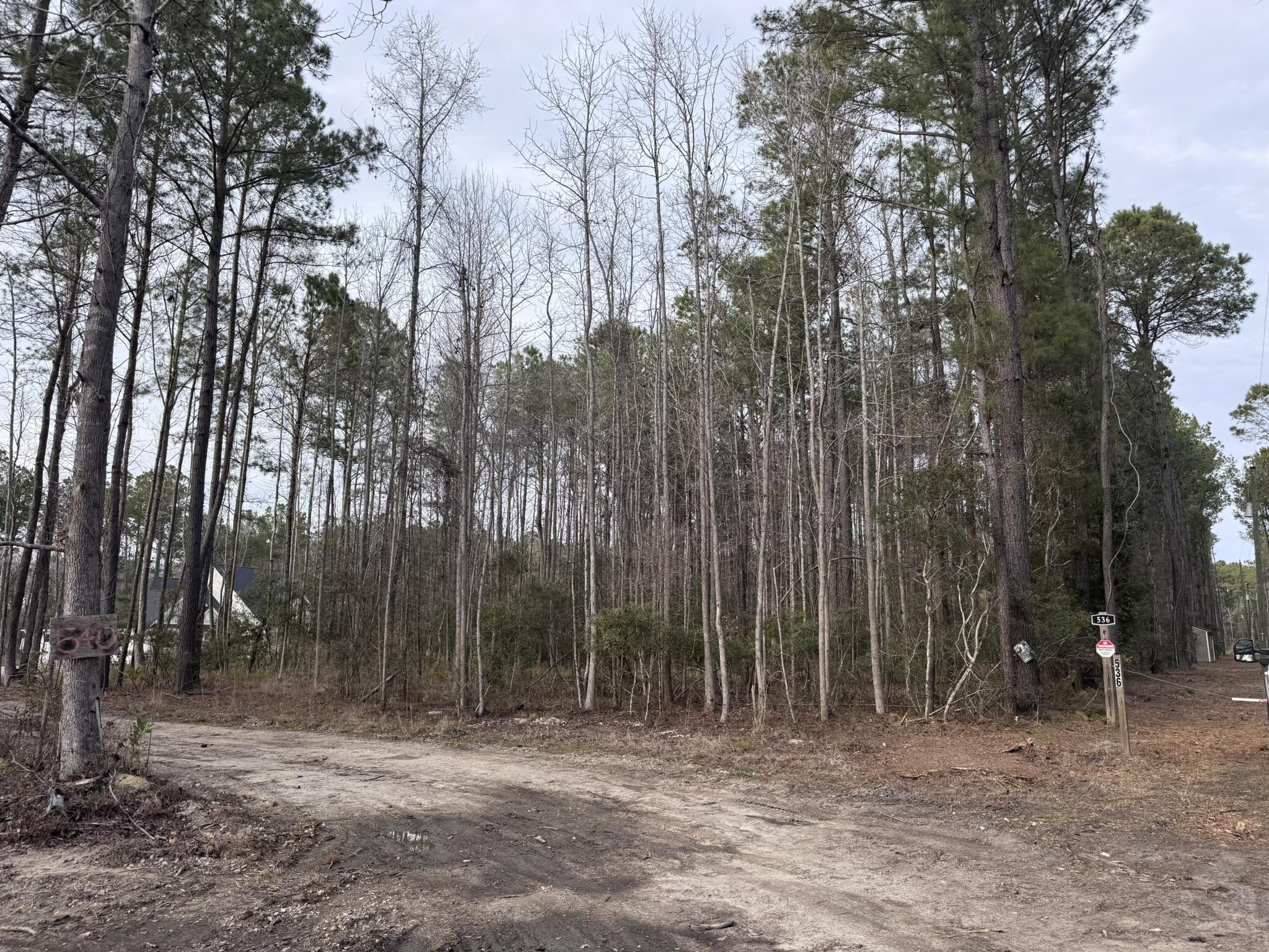 536 Bertha Lane Huger, SC 29450 - Photo 6 of 17 IMG_2429