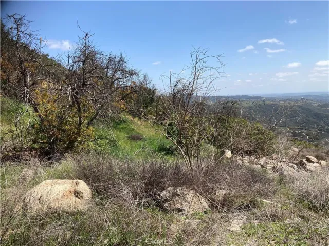 a view of a backyard of the house