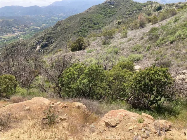a view of a backyard of the house